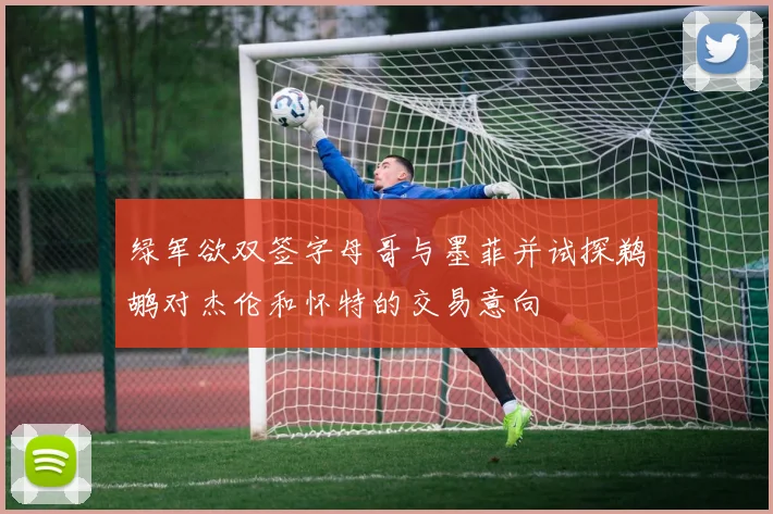 绿军欲双签字母哥与墨菲并试探鹈鹕对杰伦和怀特的交易意向