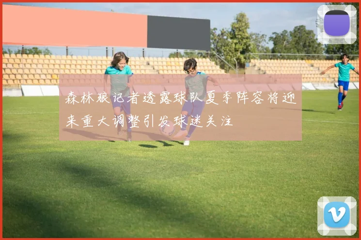 森林狼记者透露球队夏季阵容将迎来重大调整引发球迷关注
