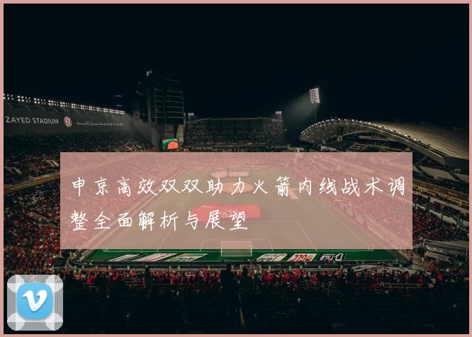 申京高效双双助力火箭内线战术调整全面解析与展望